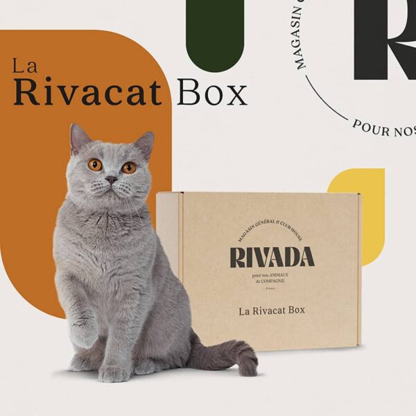 La Rivacat Box : box mensuelle pour votre chat