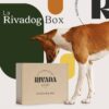 La Rivadog Box - La box mensuelle pour votre chien