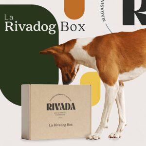 La Rivadog Box - La box mensuelle pour votre chien