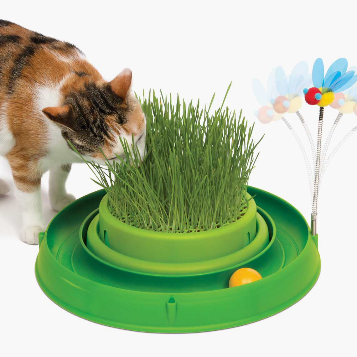 circuit-balle-herbe-chat-rivada