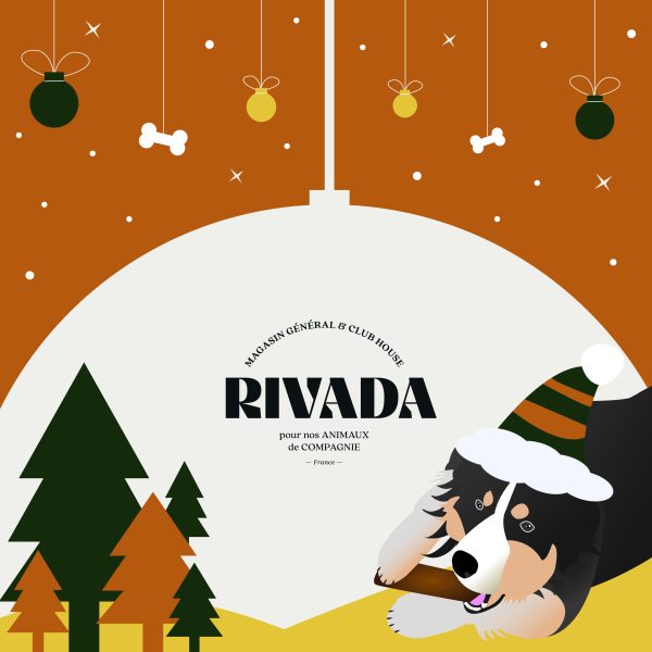 Carte cadeau Chat - RIVADA