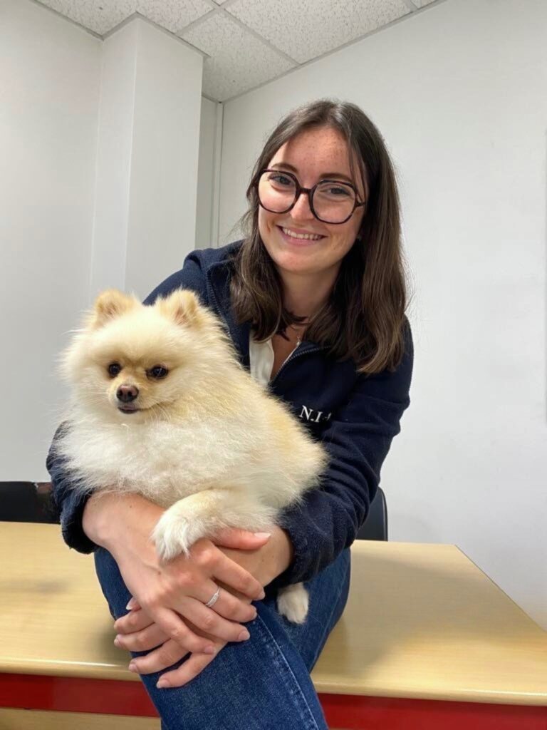 Design sans titre - 1