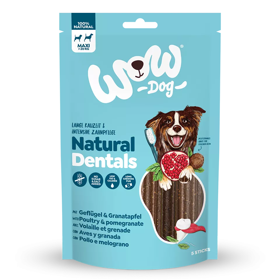 WOWDog Natural Dentals Maxi