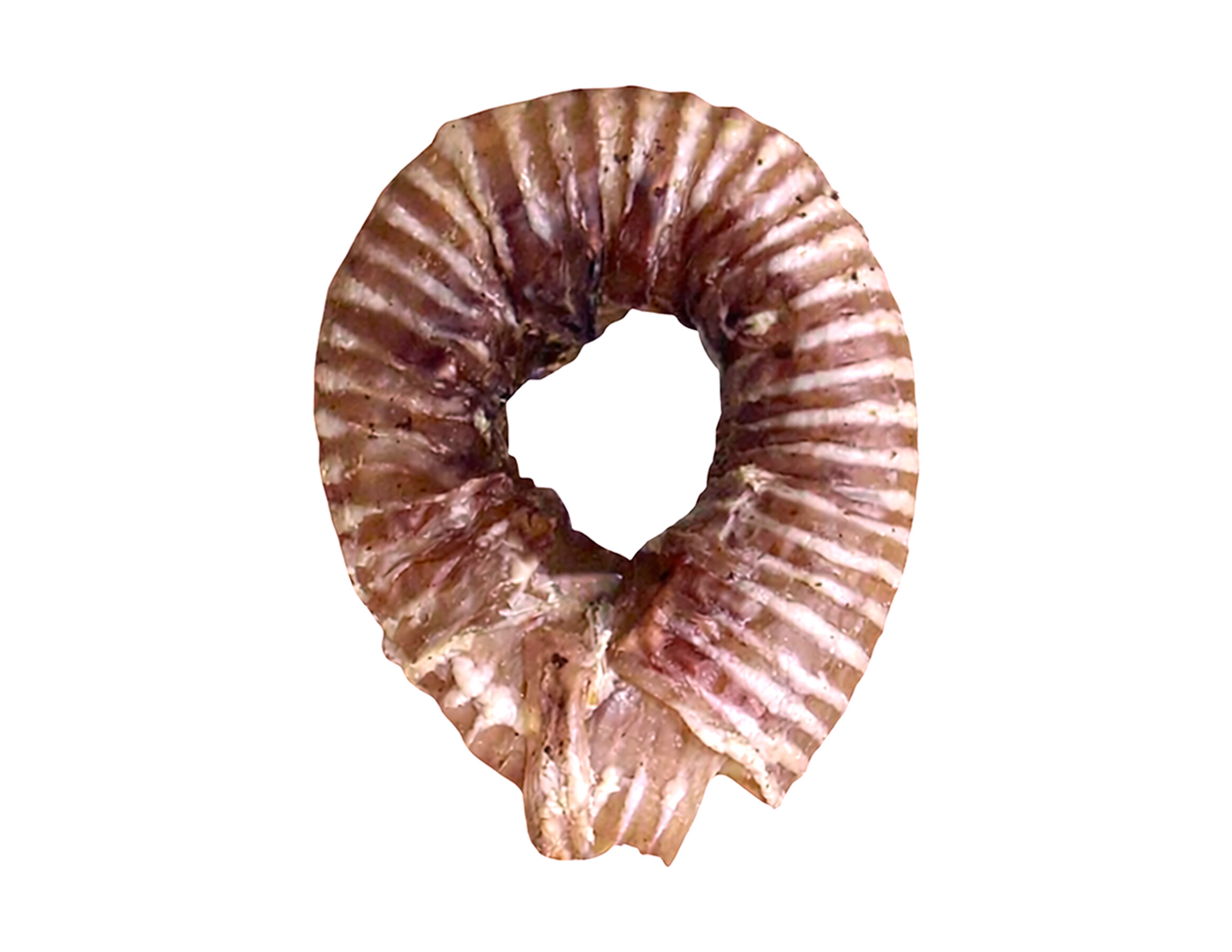 Trachée de Boeuf Roulée