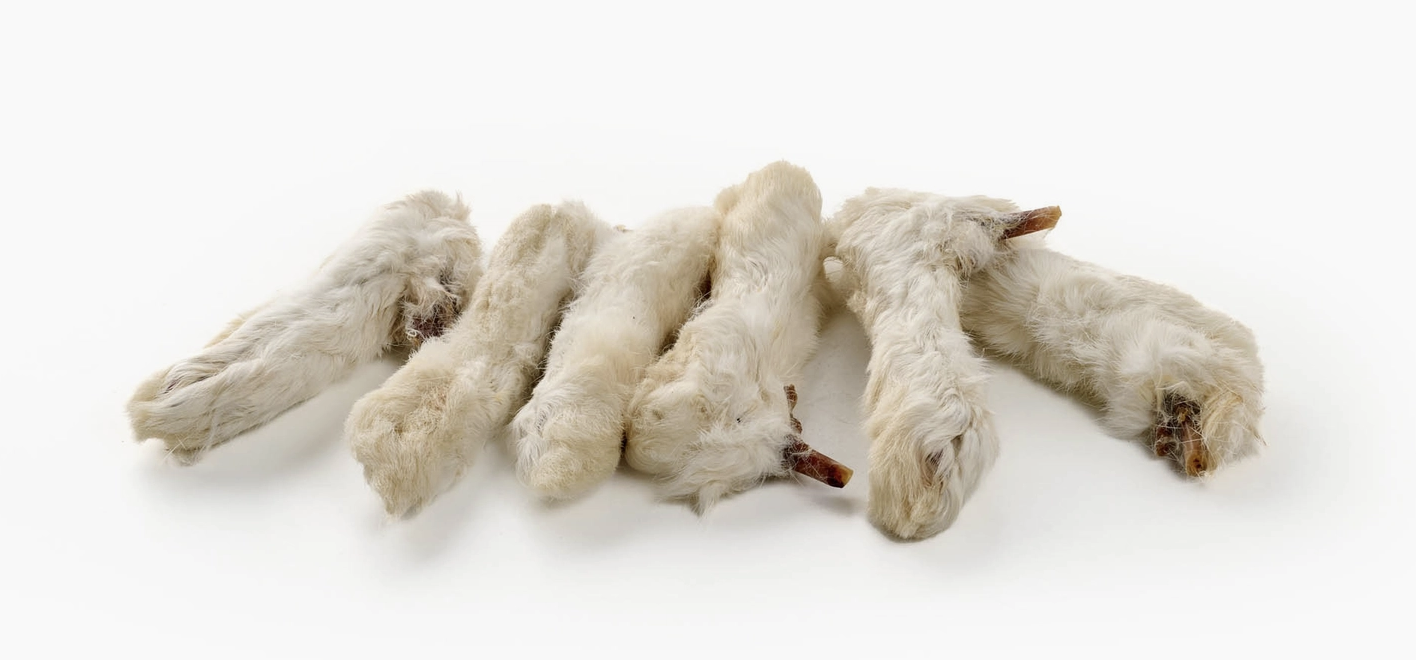 Pattes de lapin avec poils 250g